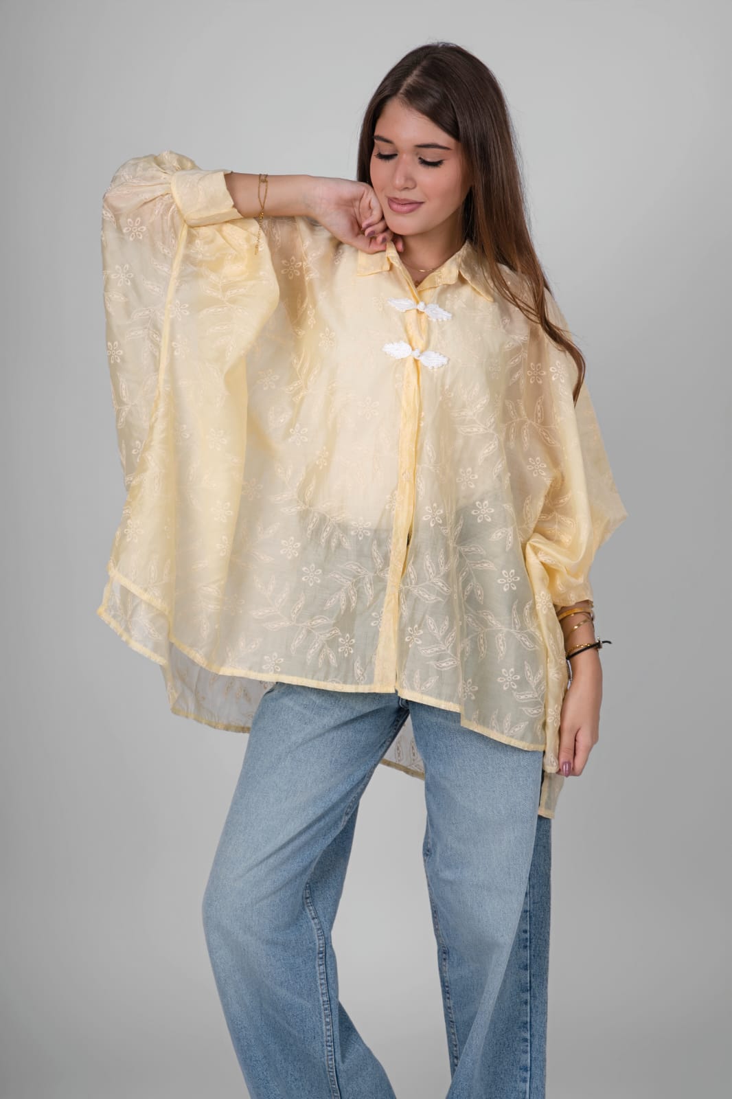 Embroidered Sheer Blouse