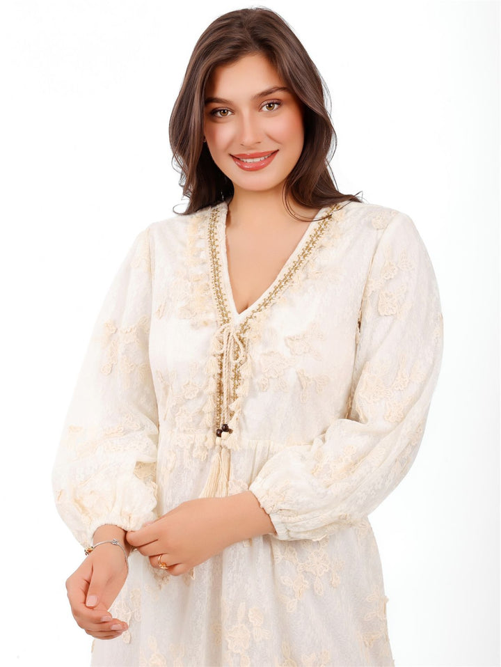 Embroidered Lace Dress