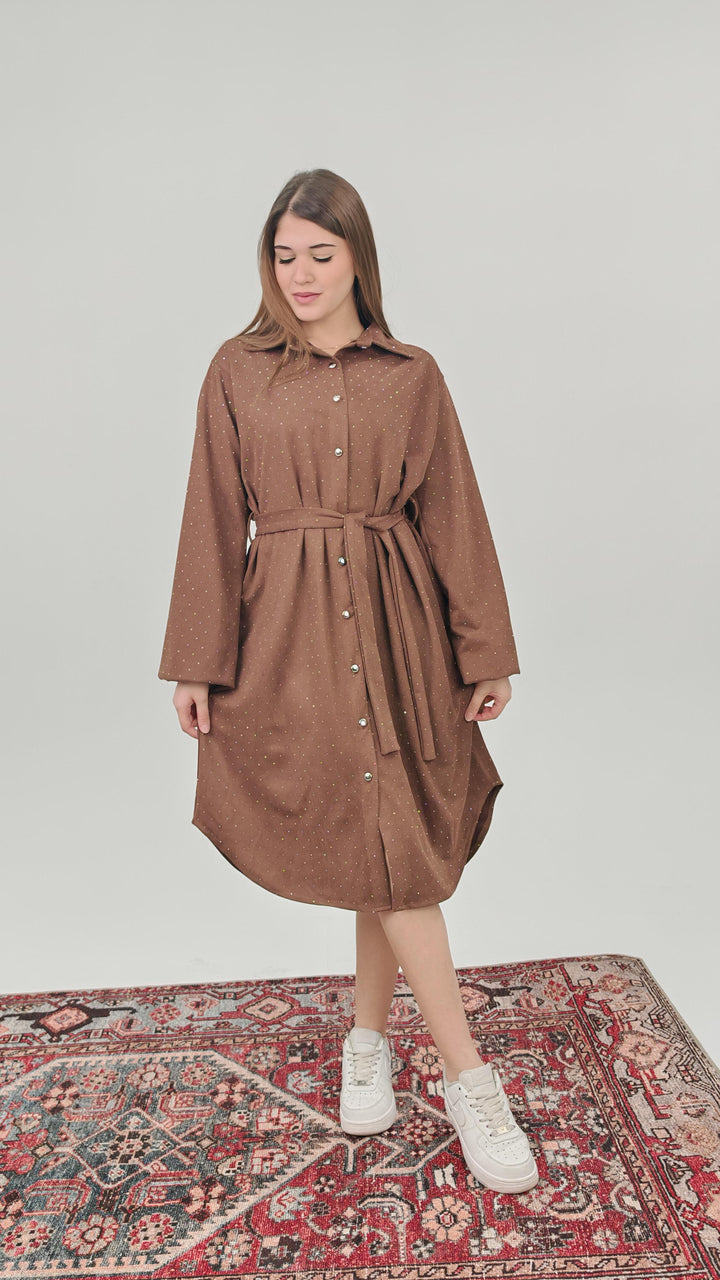 Belted Shirt Dress